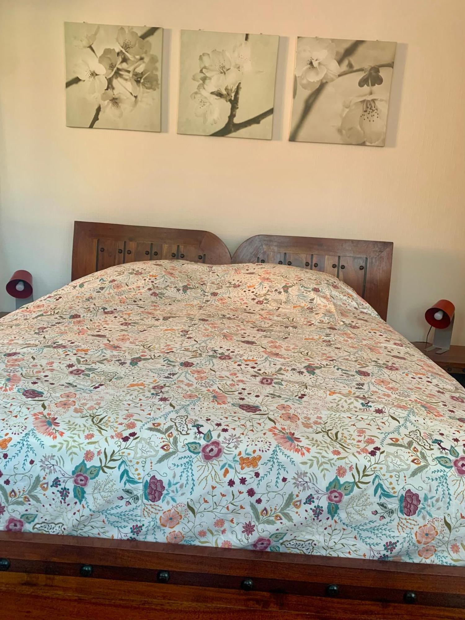 B&B Bio New Dieffenthal Esterno foto