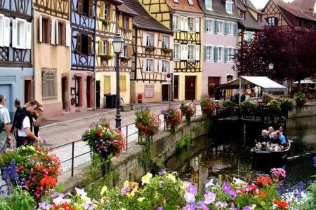 B&B Bio New Dieffenthal Esterno foto